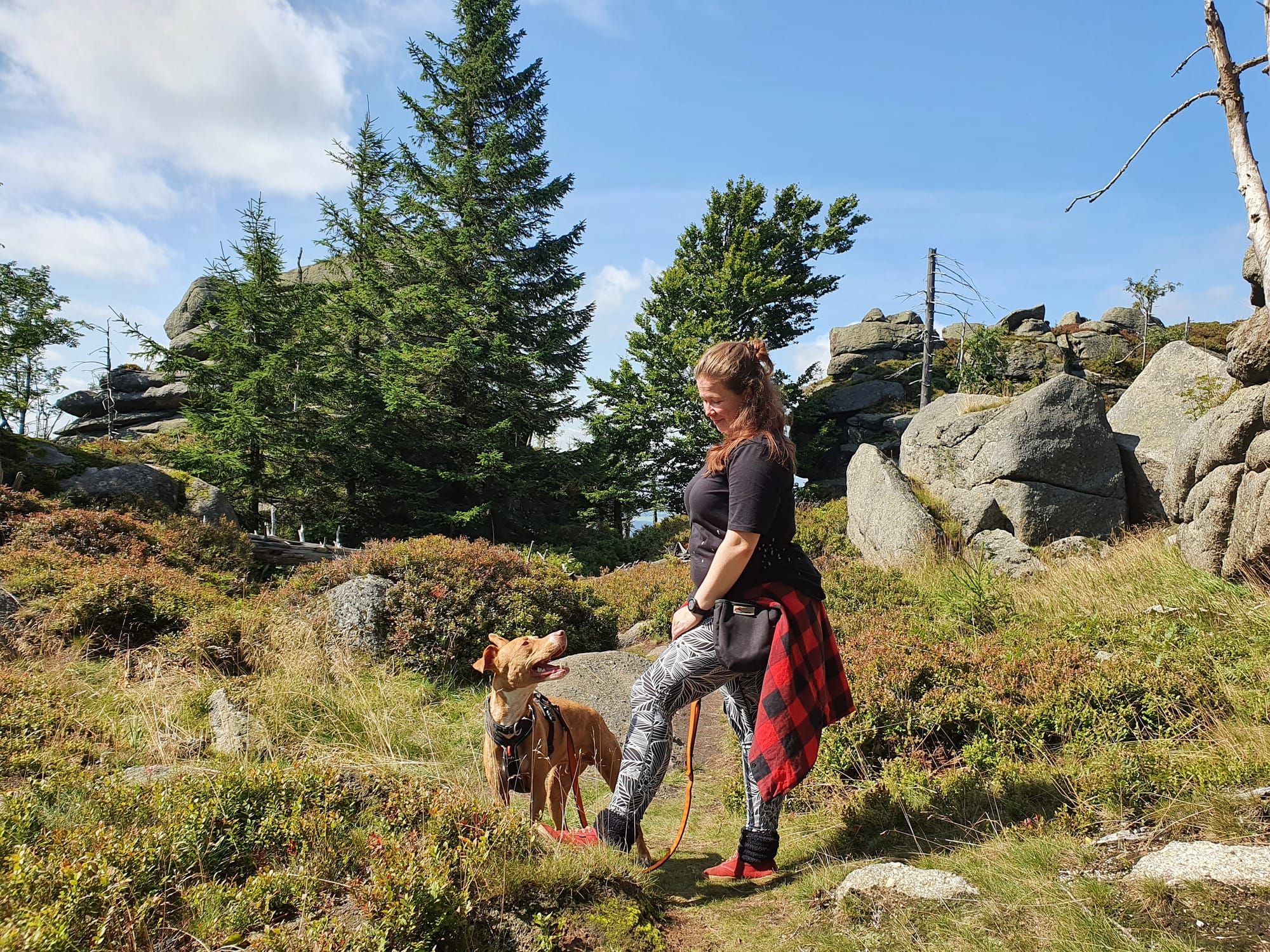 Tým na výletě v Jizerských horách, 2021.