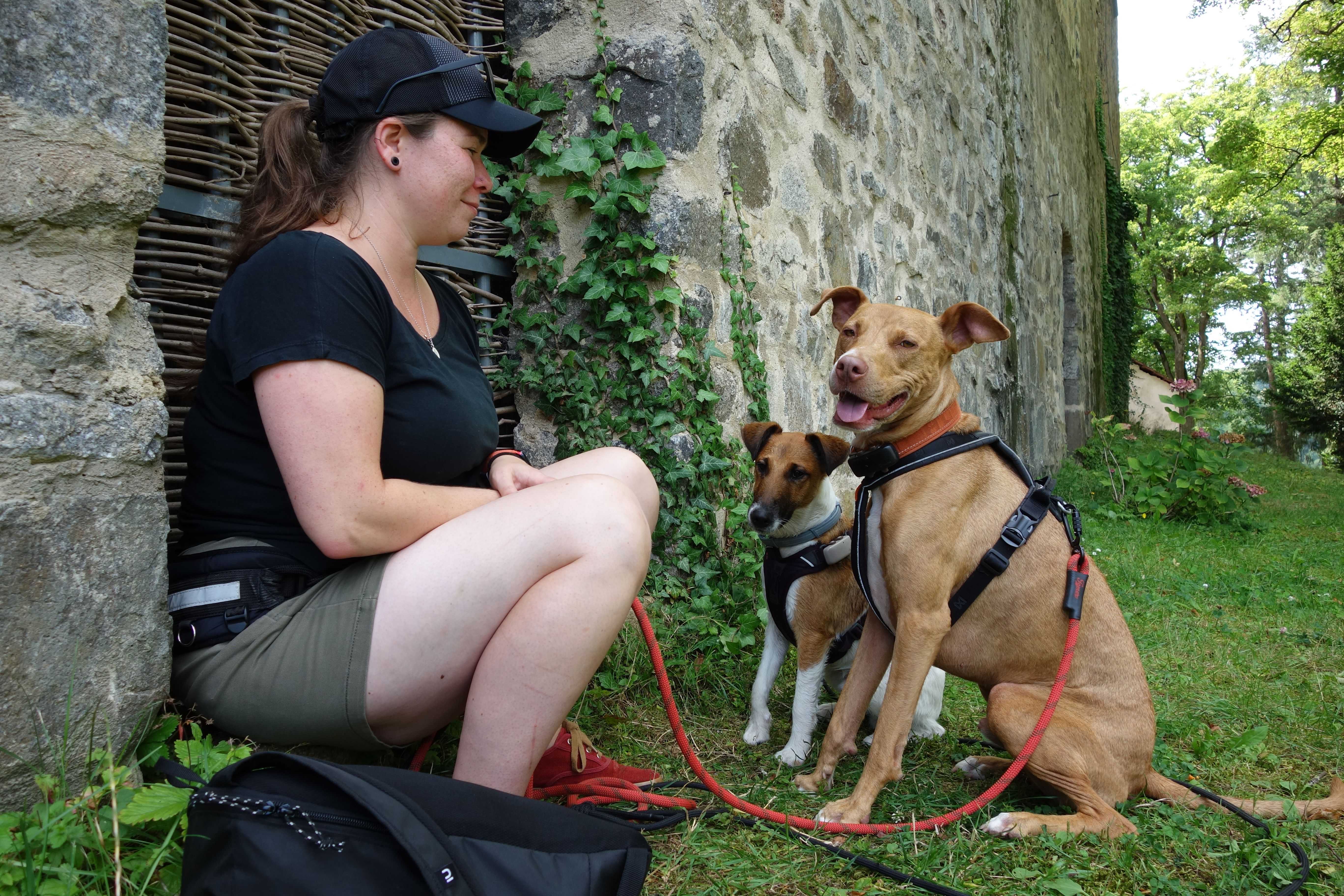 Přestávka na svačinu během výletu na Zvíkov se dvěma pejsky.